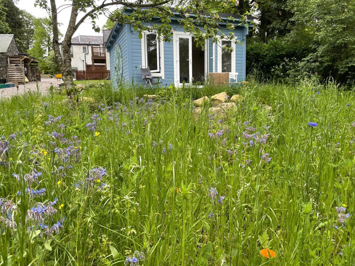 The Old Rectory Donard Διαμέρισμα Dun Ard Εξωτερικό φωτογραφία